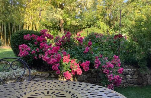 Veneux-les-Sablons Bed & Breakfast | Toute Une Histoire près de Fontainebleau