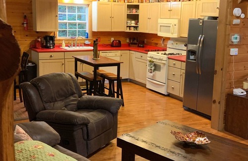 Townsend House | Townsend "Tree House": Nestled Among Trees, Pet Friendly, Private, Spacious