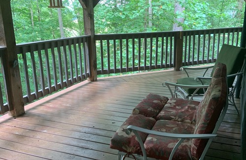 Townsend House | Townsend "Tree House": Nestled Among Trees, Pet Friendly, Private, Spacious