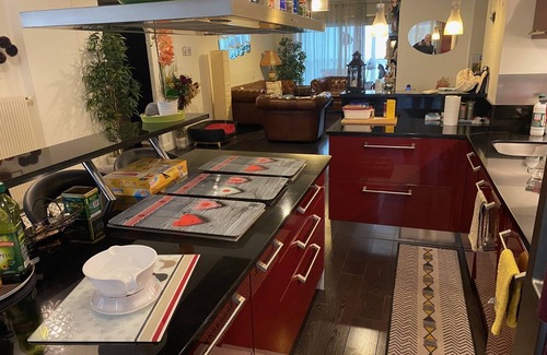 Roquebilliere Apartment | Très Grand 2 Pièces Proche Toutes Commodités - Décoration Moderne - Lit 200x200