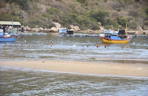 Ninh Hai House | Trúc Nguyên - Vĩnh Hy Homestay