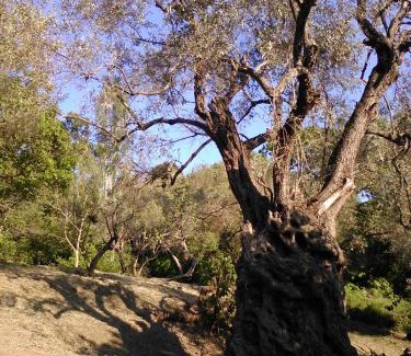 Kali Vrysi House | Traditional stone house in Pelion