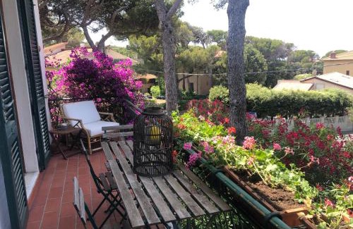 Castiglioncello House | Tramonto Mediterraneo casa con piscina