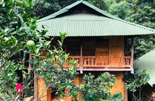 Vi Xuyen Cabin | Trang trại nghỉ dưỡng Việt Thành Hill