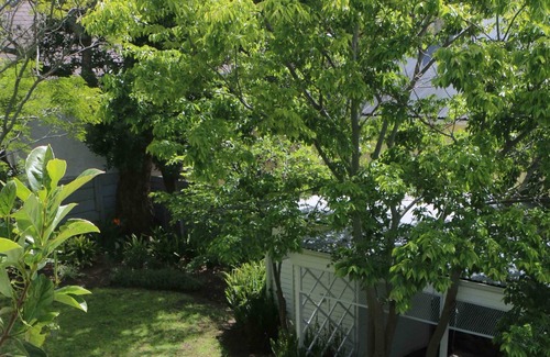 Claremont House | Tranquil Gem. Centrally located. Family retreat.