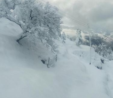 Shilon Bagh House | Tranquility In The Himalayas