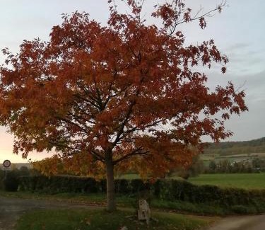 Villy-sur-Yeres House | tranquillité- jardin- WIFI- gite Père Louis