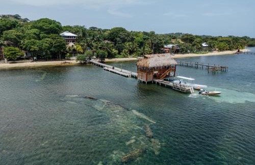 Antoneys Cay Cabin | Tranquilseas Eco Lodge & Dive Center