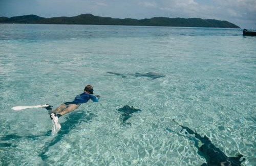 Antoneys Cay Cabin | Tranquilseas Eco Lodge & Dive Center