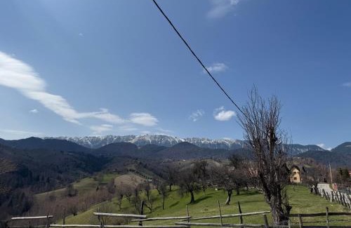Moieciu Cabin | Transylvanian Views