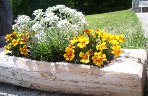 Spinga House | Traterhof-Spinges