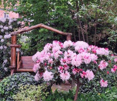 Sankt Dionys House | Traumhaftes Reetdachhaus "Grote Eken" in der Lüneburger Heide