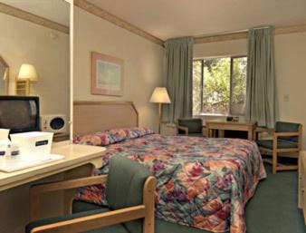 Magnolia Park Hotel | Travelodge by Wyndham Burbank-Glendale