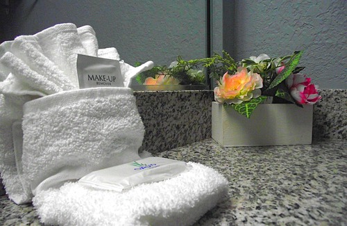Whitehaven Hotel | Travelodge by Wyndham Memphis Airport/Graceland
