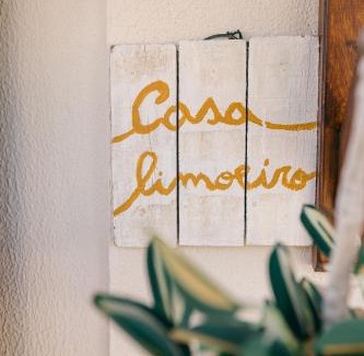 Quinta Do Conde House | Tree House - Casa Limoeiro