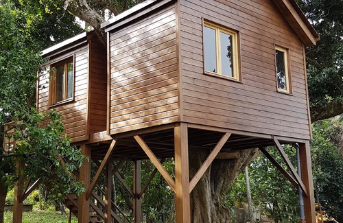 Sainte-Suzanne Cottage | Tree house in a litchi