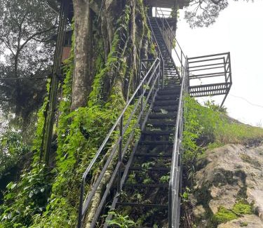 Pallivasal Other | Tree House Munnar