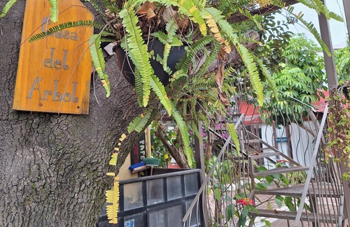 Cholula Apartment | Tree House by Majikal B&B