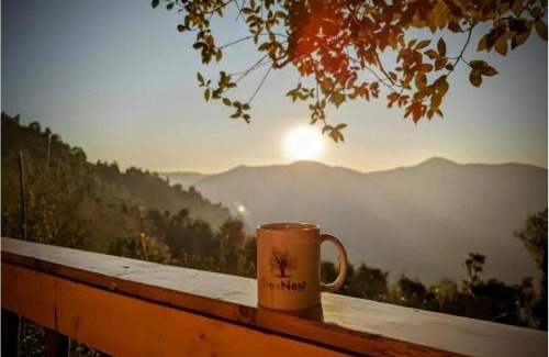 Shilon Bagh Resort | Tree Nest Resort by Vianara