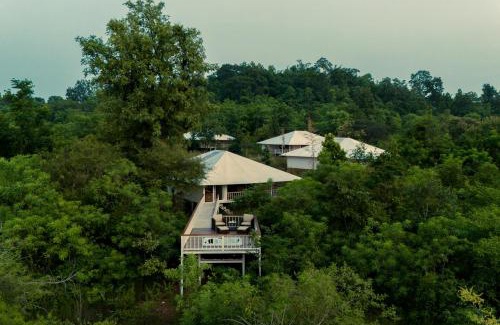 Damoy Other | Tree of Life Ramvilas, Bandhavgarh
