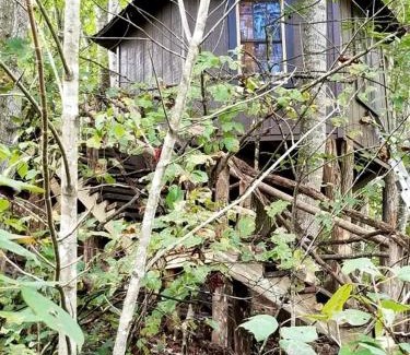 Crumpler House | Tree Top Cabin in Crumpler, North Carolina