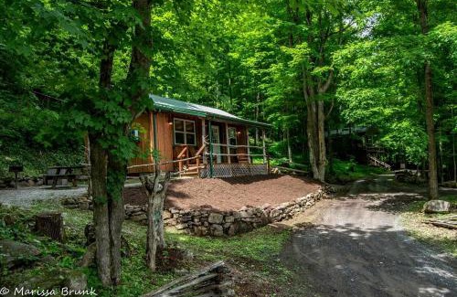 Riverton House | Treehouse Cabin in Riverton, WV