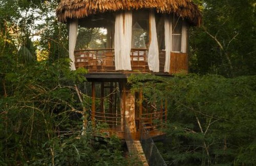 Saquena Cabin | Treehouse Lodge