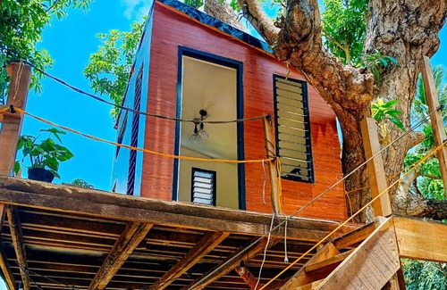 Magallanes Other | Treehouse