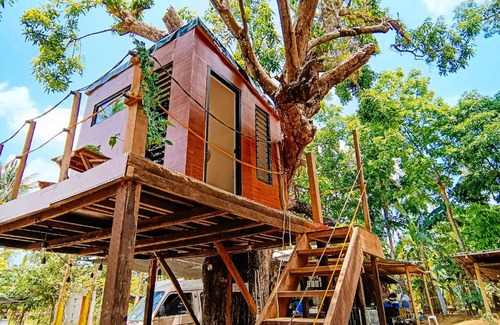 Magallanes Other | Treehouse