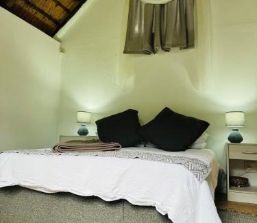 Shongweni Bed & Breakfast | Treehouse River Lodge