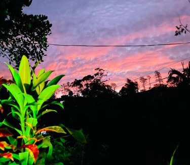 Ella Bed & Breakfast | Treetops ella