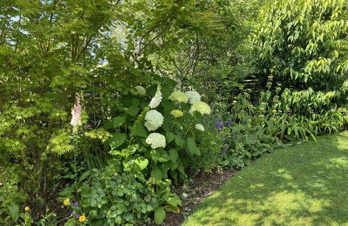 Kerikeri Bed & Breakfast | Treghan Luxury Lodge