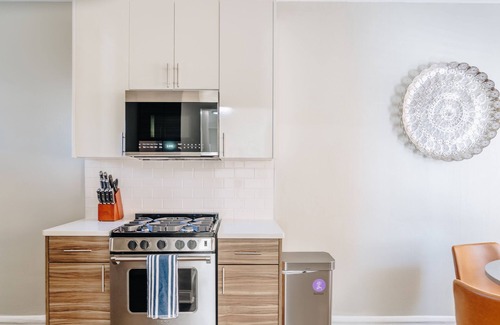 Ravenswood Manor Apartment | Trendy|Comfortable|1BR|Lincoln Square