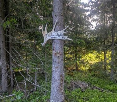 Engerdal Cabin | Tretopphytta Kraggbua