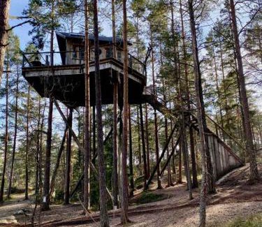 Halden Ski Chalet | Tretopphytter På Grensen - Elghytta med robåt og gjeddefiske
