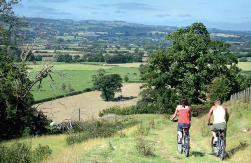 Caersws Resort | Trewythen Lodges