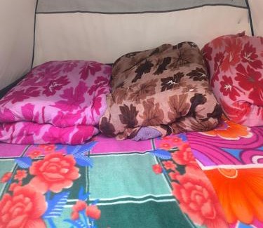 Sitapur Other | Trivedi Camps