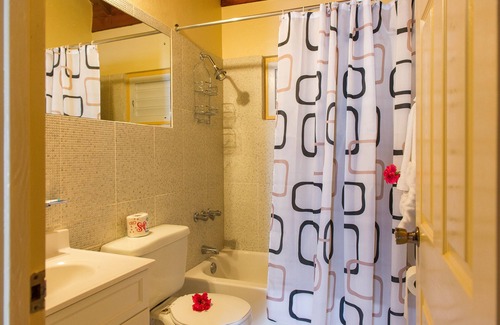 Highgate Apartment | Tropical Beach Suite and Loft
