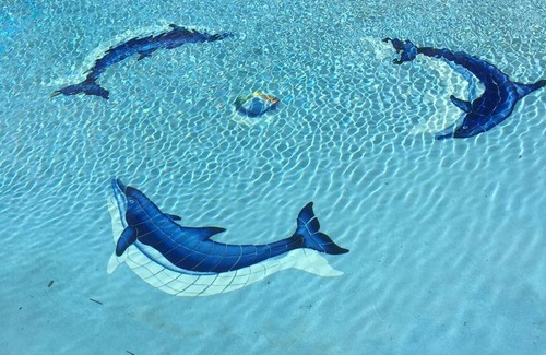 Mandeville Hotel | Tropics View Jamaica