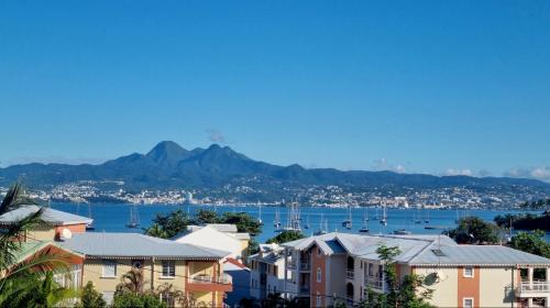 Trois-Ilets Apartment | Tropicvirgin studio vue mer, 150m de la plage