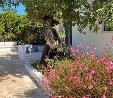 Ostuni Villa | Trulli vecchi del campolungo