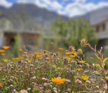 Diskit Hotel | Tsogstot residency