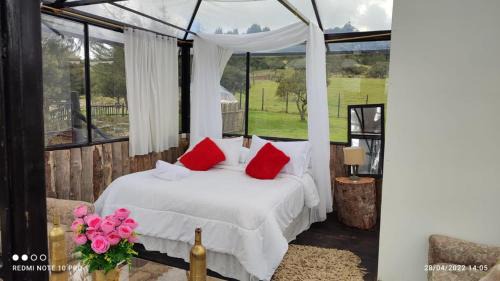 Choconta Other | tu glamping s a s