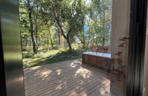 Arjuzanx House | Tui Lakehouse, a house in the forest, a stone's throw from the magnificent Lac d'Arjuzanx.