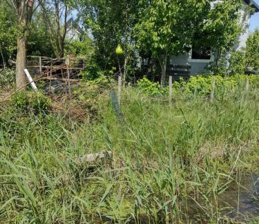 Almere Bed & Breakfast | Tuinhuisje in het groen