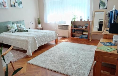 Bekescsaba Apartment | Tulipán Apartman