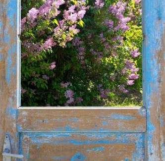 Sarud Apartment | Tulipános Porta