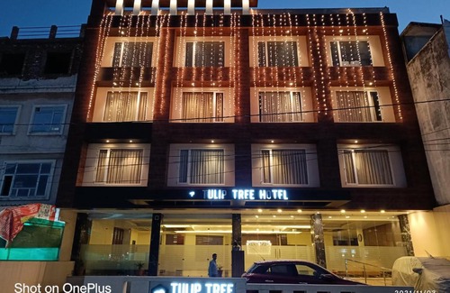 Katra Hotel | Tulip Tree Hotel