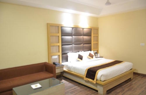 Katra Hotel | Tulip Tree Hotel