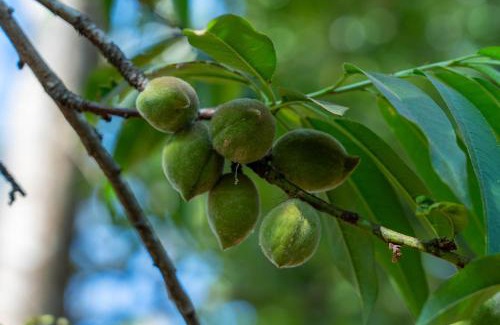 Karatu Hotel | Turaco Ngorongoro Valley, a Tribute Portfolio Lodge